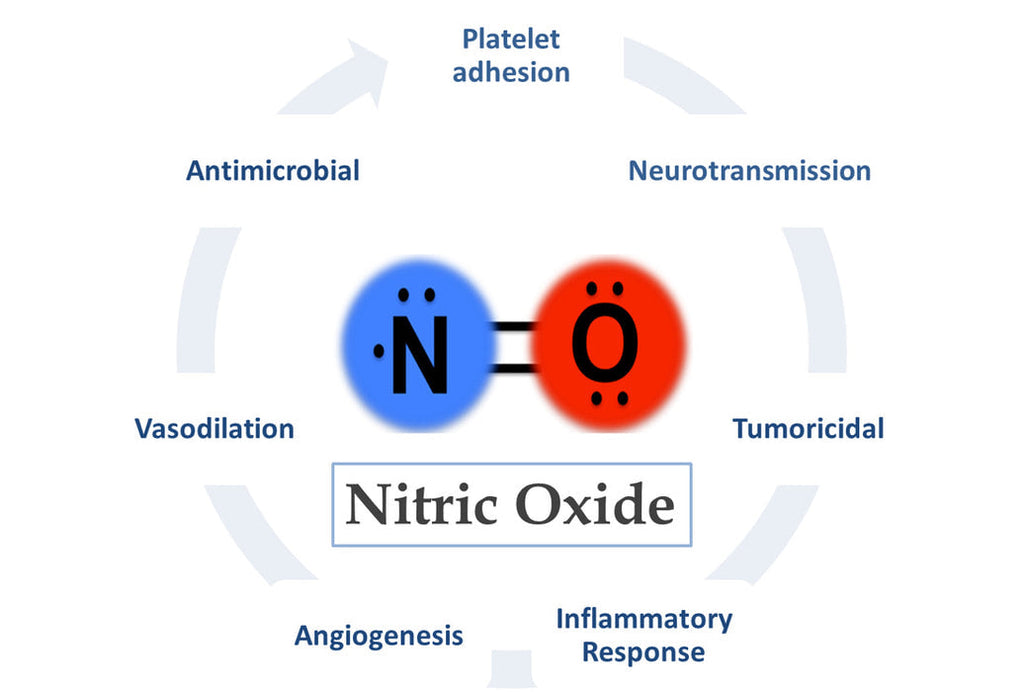 Men's Health: The Nitric Oxide Connection